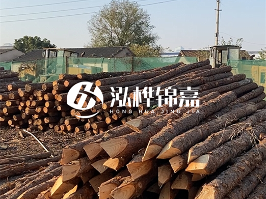 松木樁施工隊泓樺錦嘉 - 河道打樁用什么木樁？