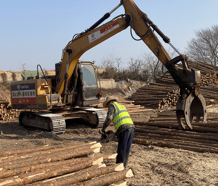 湖北松木樁規(guī)格這么多，該怎么選？