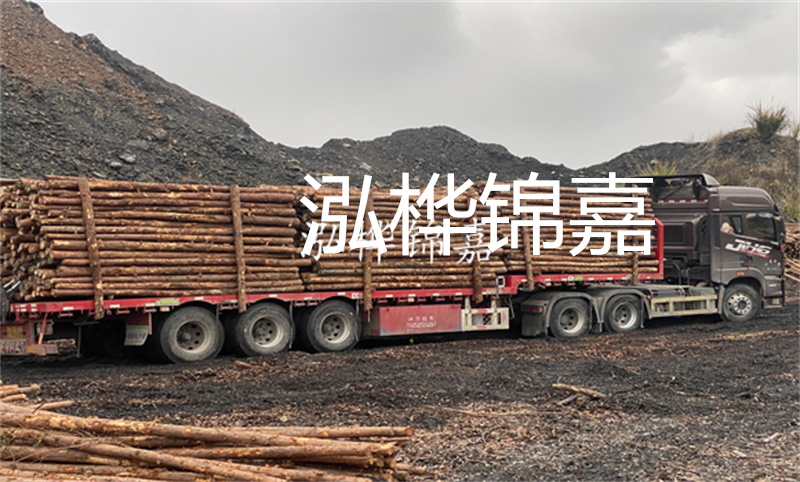 云南哪里有松木樁？實用指南，助您選購優質木材！
