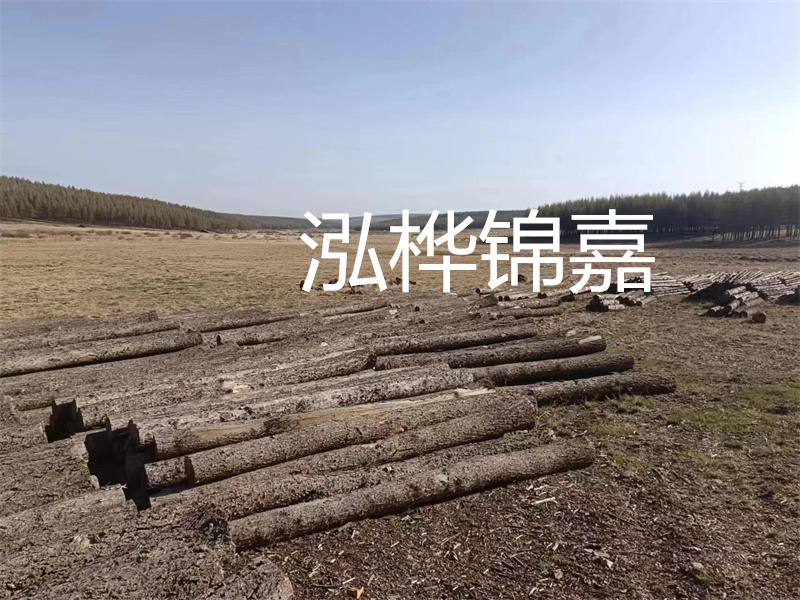 鄂州松木樁哪里好？推薦泓樺錦嘉松木樁業(yè)！